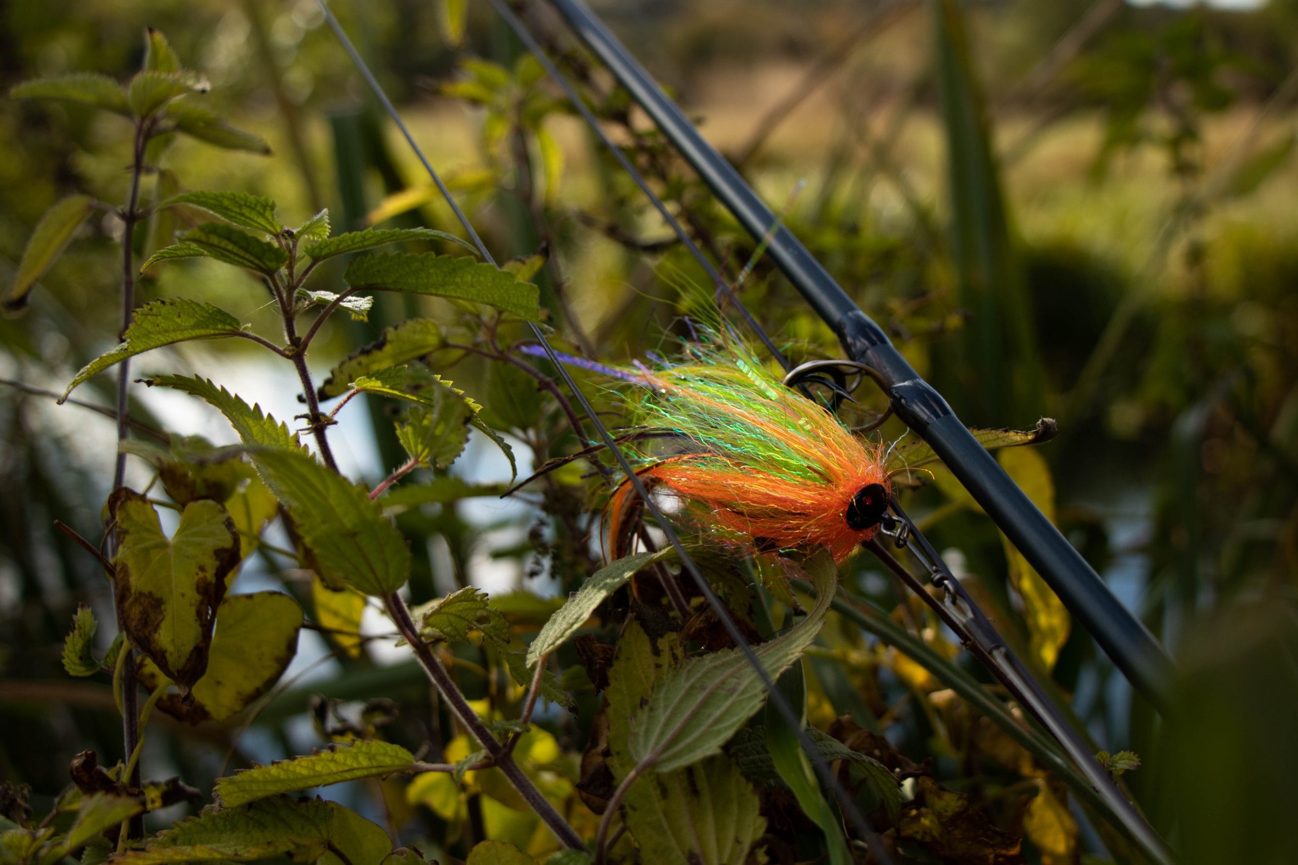 UK fishing, chalkstream, pike, pike fishing, UK fishing guides, River Test