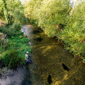 River Wylye at Langford Lakes, Chalkstream Fly Fishing, Aardvark McLeod