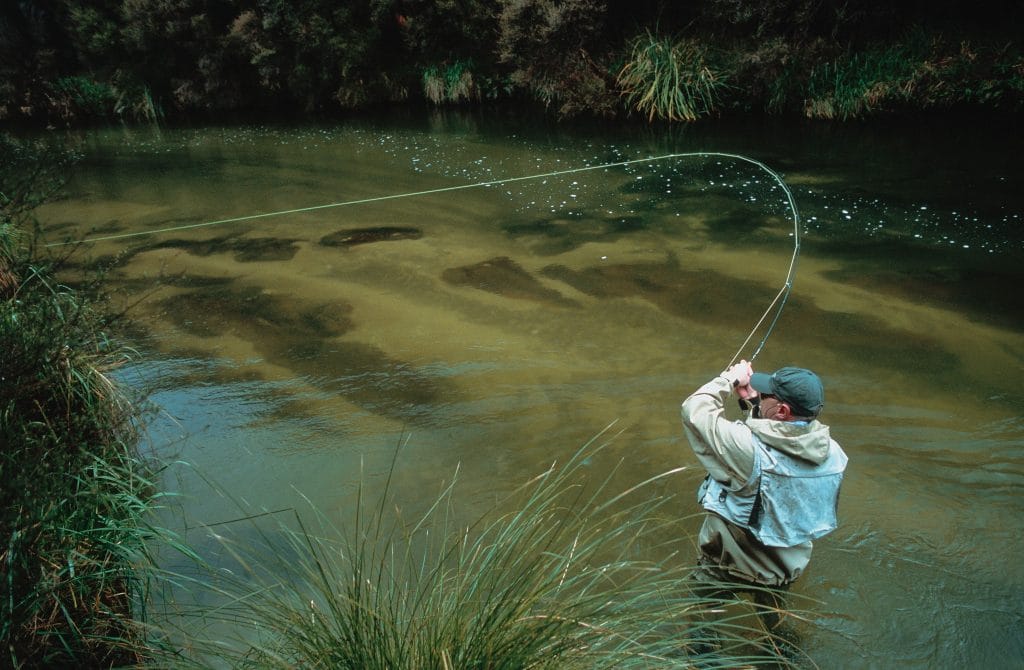 New Zealand, Poronui Lodge, Aardvark McLeod