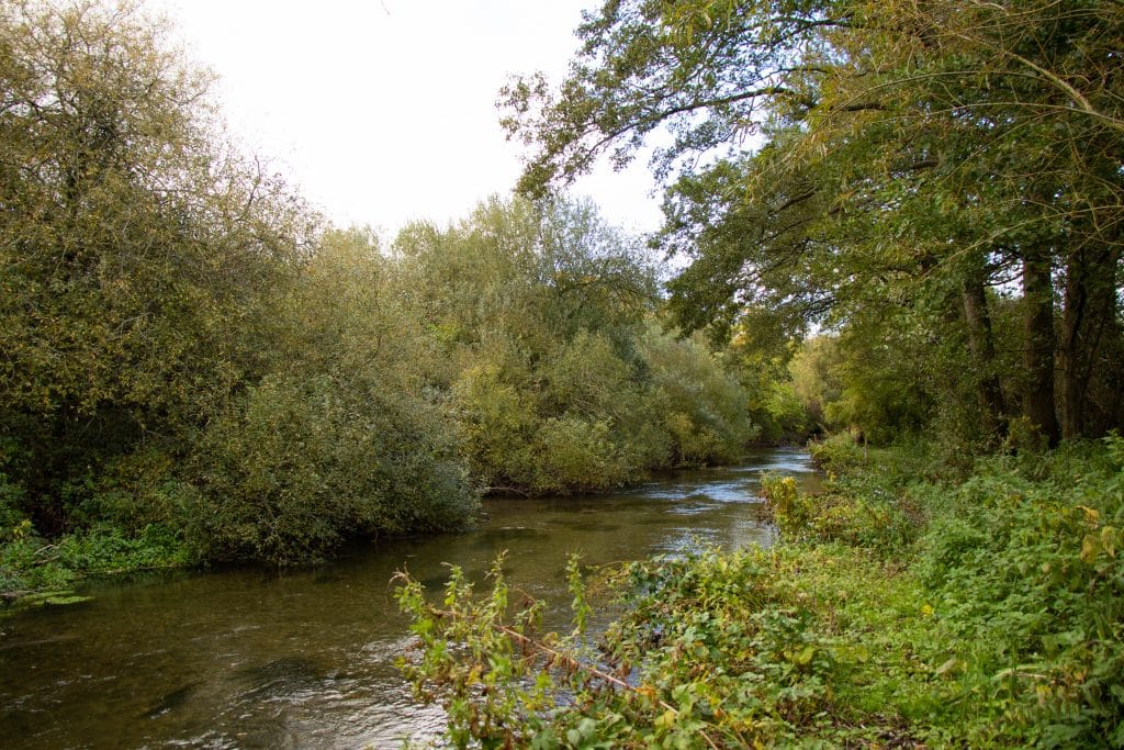 River Wylye at Langford Lakes, Chalkstream Fly Fishing, Aardvark McLeod