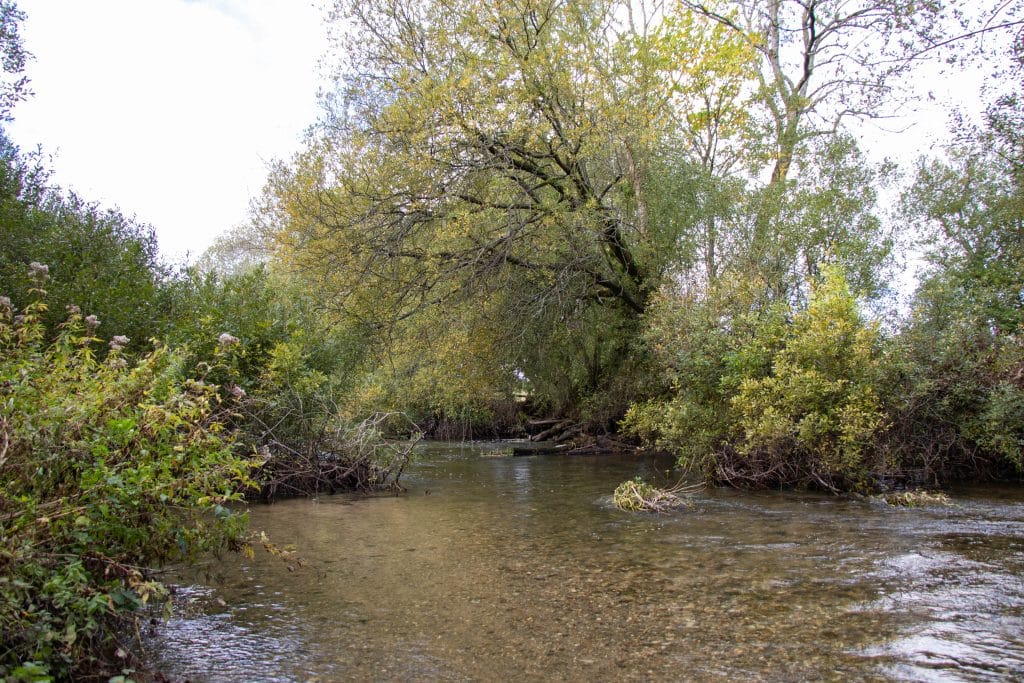 River Wylye at Langford Lakes, Chalkstream Fly Fishing, Aardvark McLeod