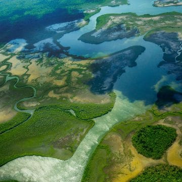 Belize, Copal Tree Lodge, Aardvark McLeod