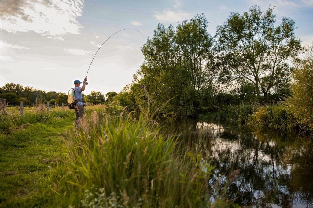 Westfair, River Anton, Aardvark McLeod