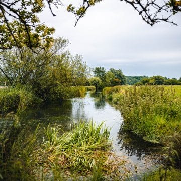 Westfair, River Anton, Aardvark McLeod