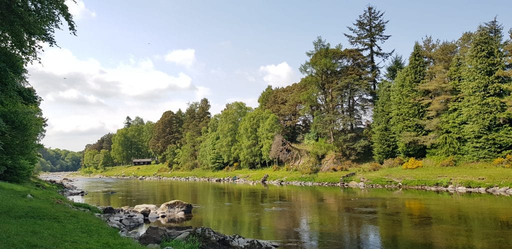 Salmon fishing, River Dee, Lower Blackhall, Inchemarlo, Aardvark McLeod