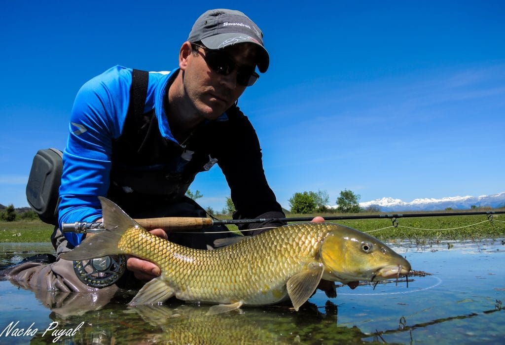 Spanish Pyrenees, Zebra Trout, trout fishing, fishing in the Pyrenees, Aardvark McLeod, Spain