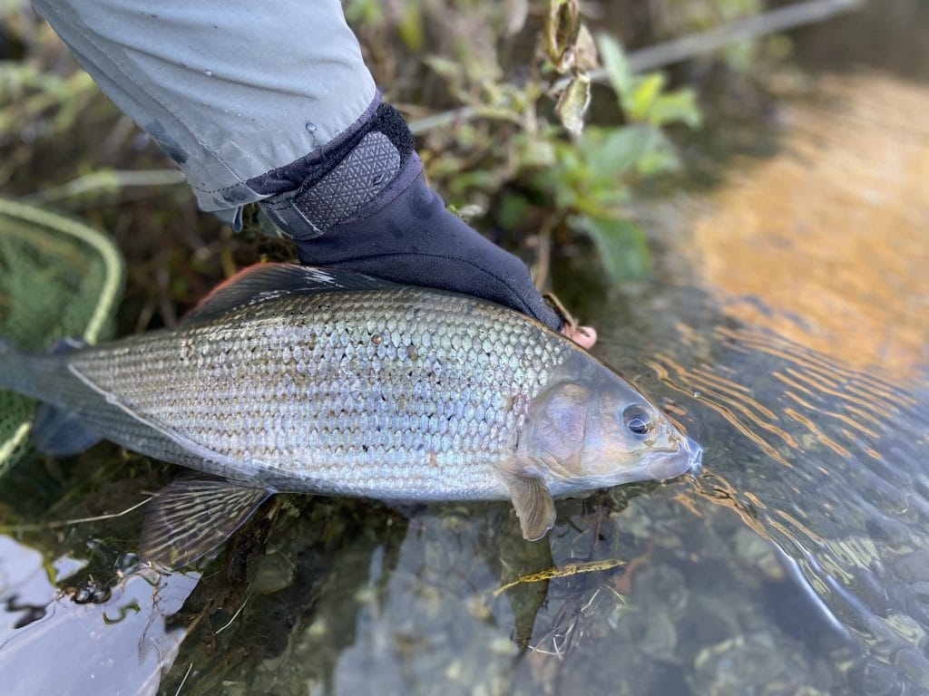 River Wylye at Langford Lakes, Chalkstream Fly Fishing, Aardvark McLeod