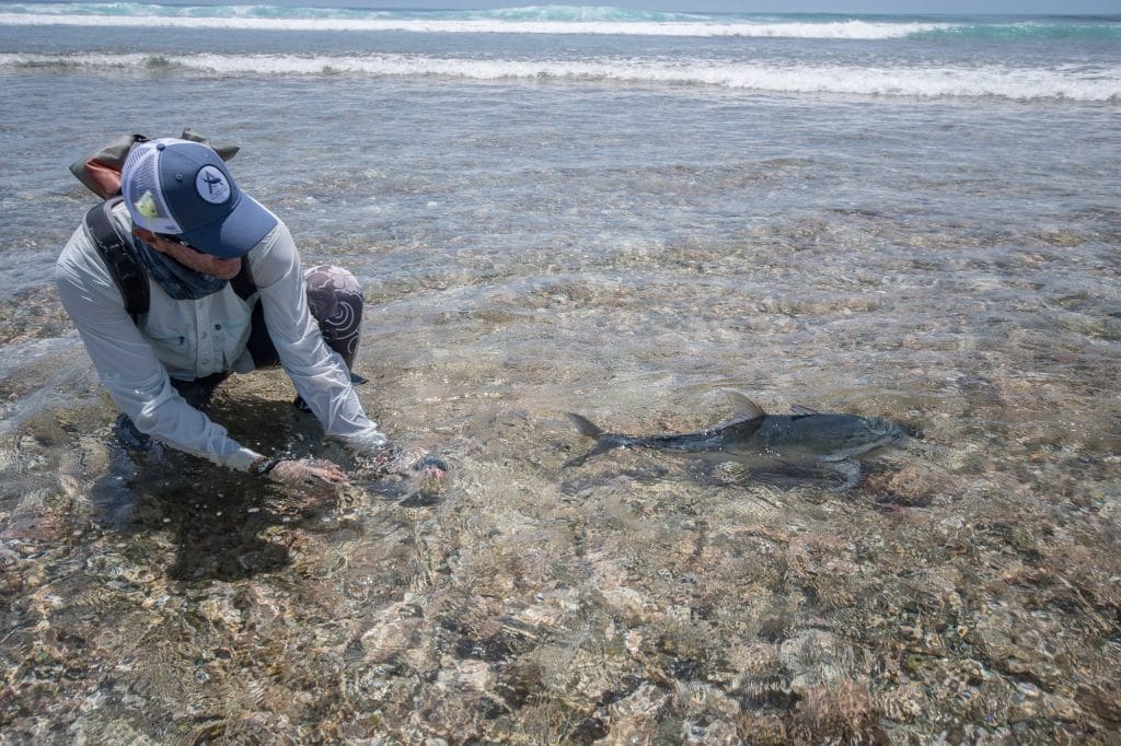 Alphonse Island Seychelles fishing Aardvark McLeod