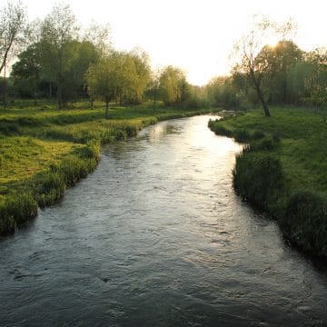 River Kennet Chalkstream fly fishing, Dry Fly Fishing, Alex Jardine, Aardvark McLeod Dry Fly Fishing