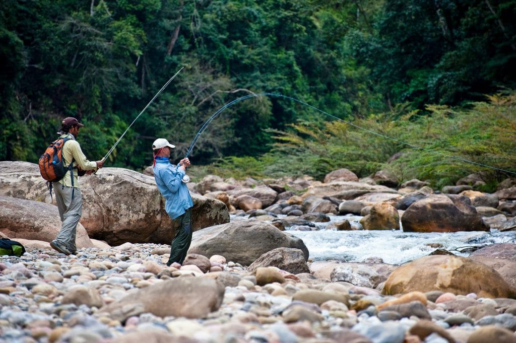 Golden Dorado, Boliva, Aardvark McLeod