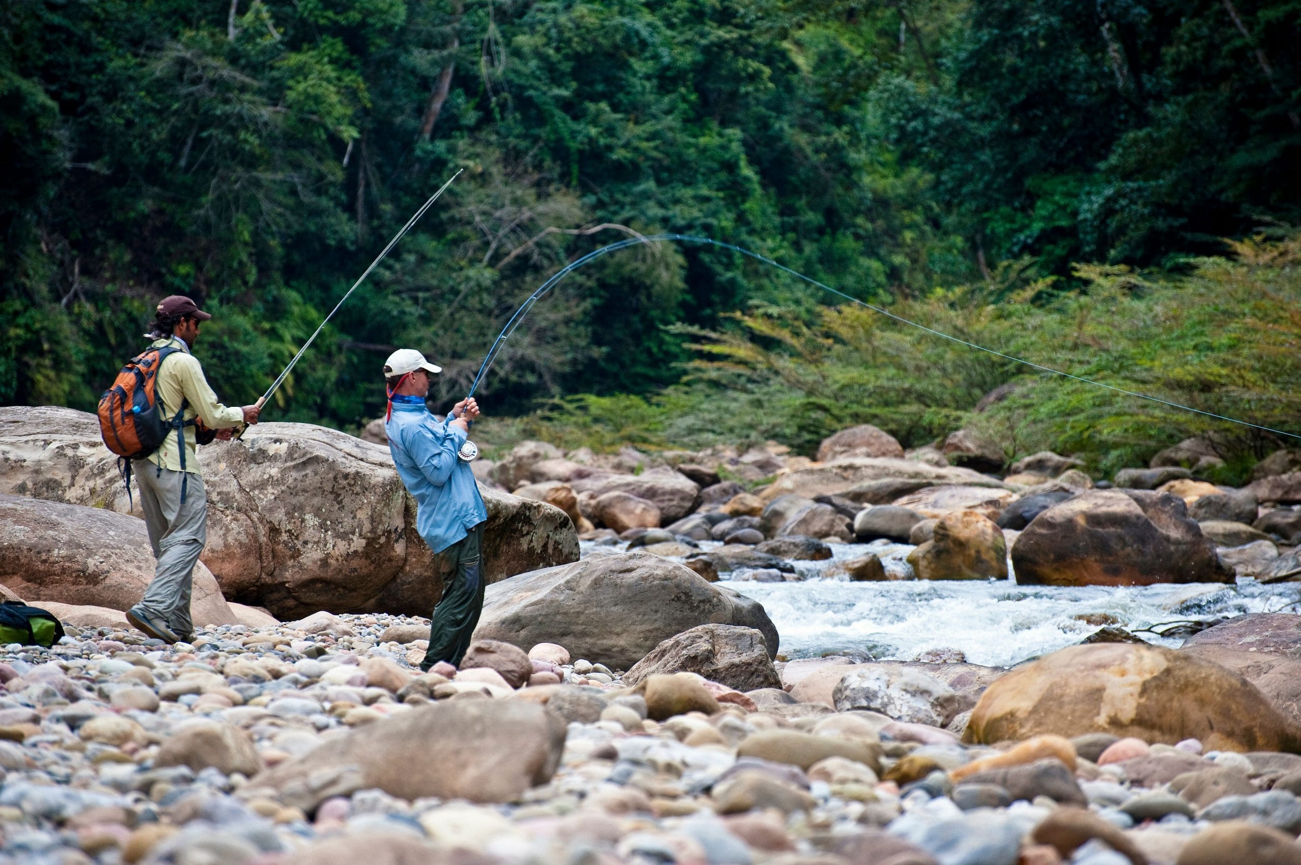 Golden Dorado, Pacu, Aardvark McLeod