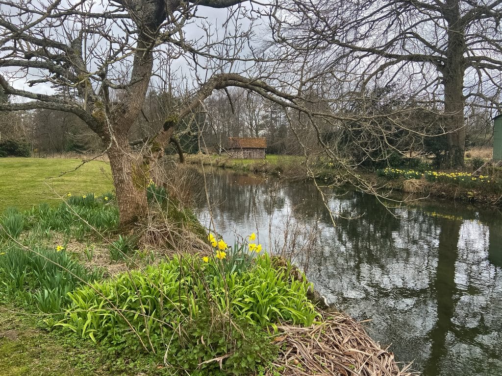 Mayfly fishing, Wherwell Estate River Test, chalkstream fly fishing, river test