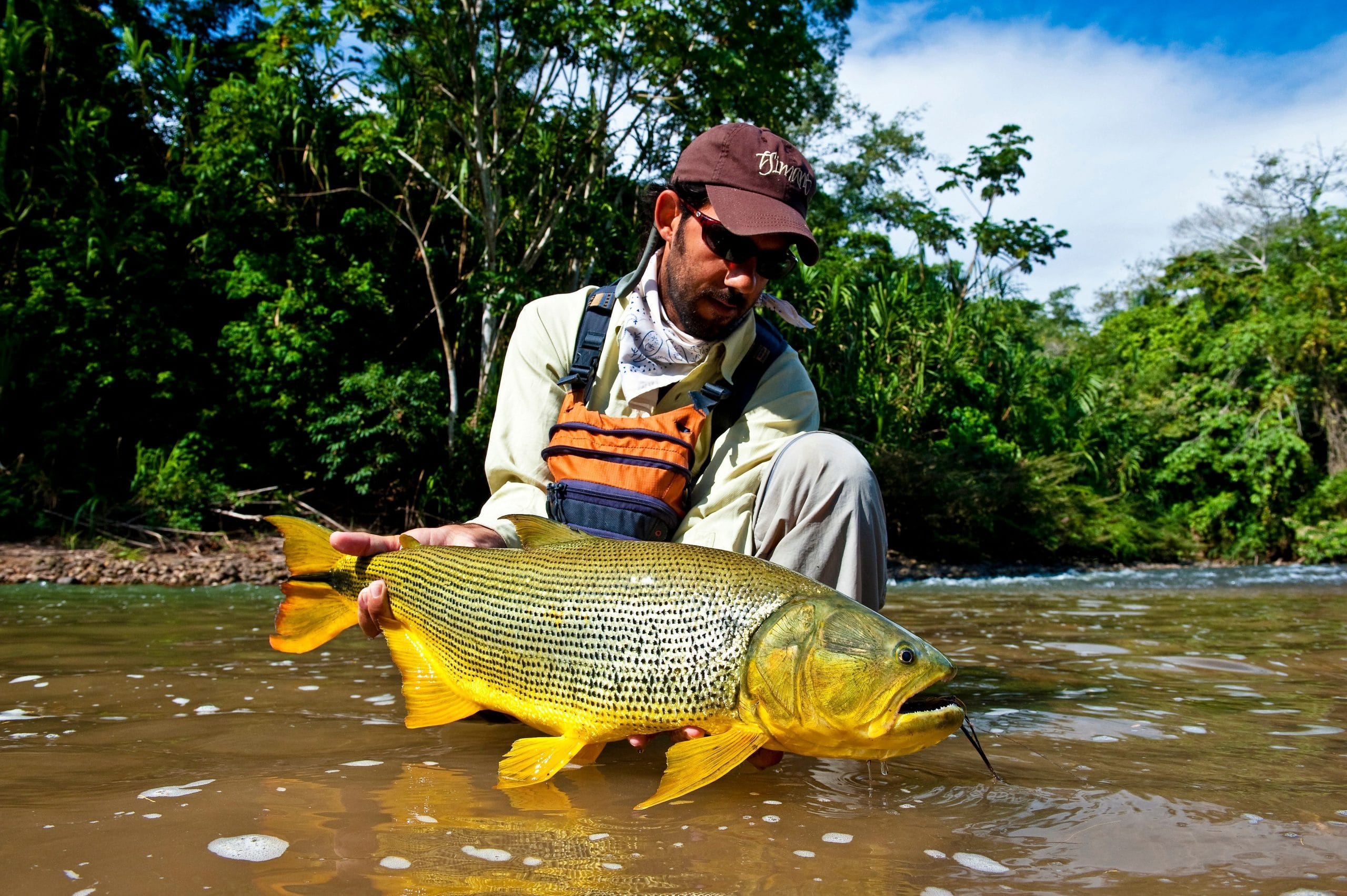 Golden Dorado, River Fishing, Aardvark McLeod