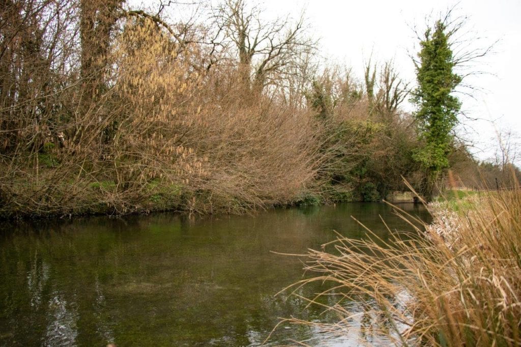 Westfair, River Anton, chalkstream fly fishing, grayling fishing, trout fishing, Aardvark McLeod