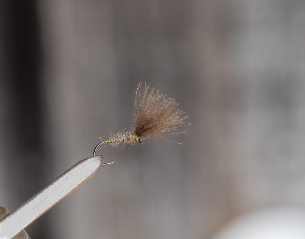 chalkstream flies, river test