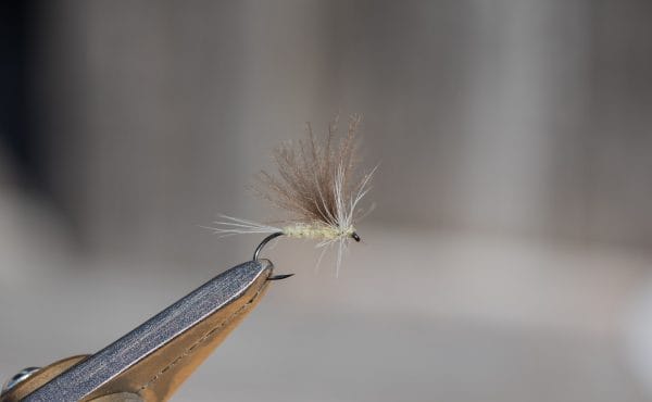 chalkstream flies, river test