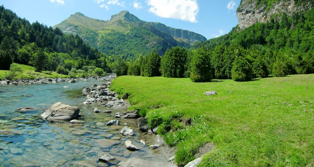 Spanish Pyrenees, Zebra Trout, trout fishing, fishing in the Pyrenees, Aardvark McLeod, Spain