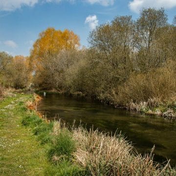 Westover, River Anton, chalkstream fly fishing, grayling fishing, trout fishing, Aardvark McLeod