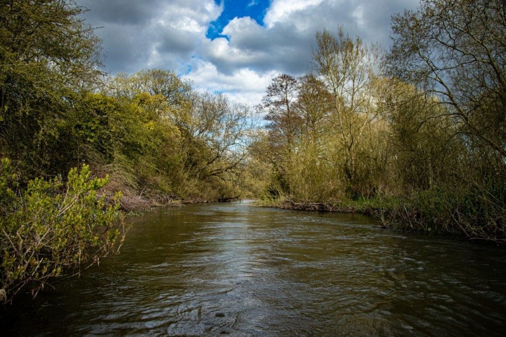 River Wylye at Langford Lakes, Chalkstream Fly Fishing, Aardvark McLeod