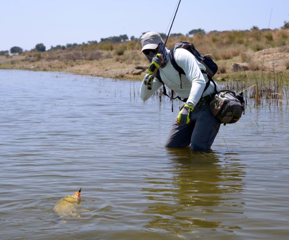 Portugal Carp fishing Aardvark McLeod