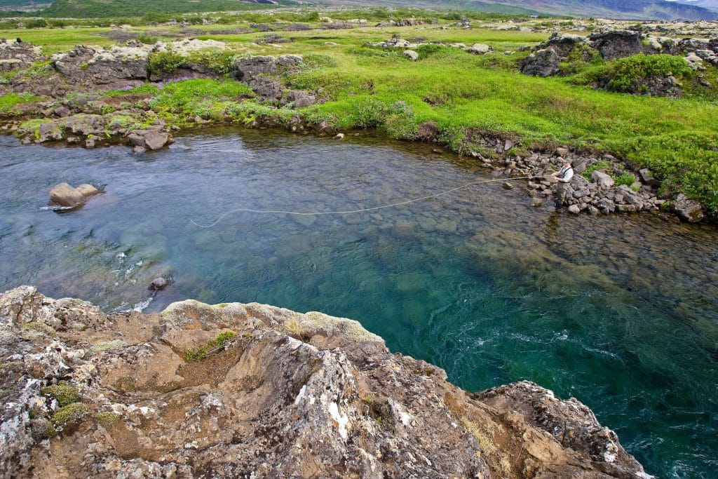 Nordura, salmon fishing, Iceland, Iceland Guide, Aardvark McLeod,