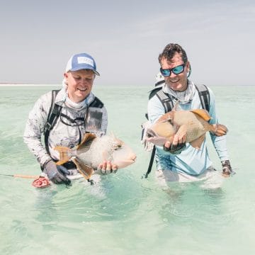 Sudan, trigger fish, Aardvark McLeod