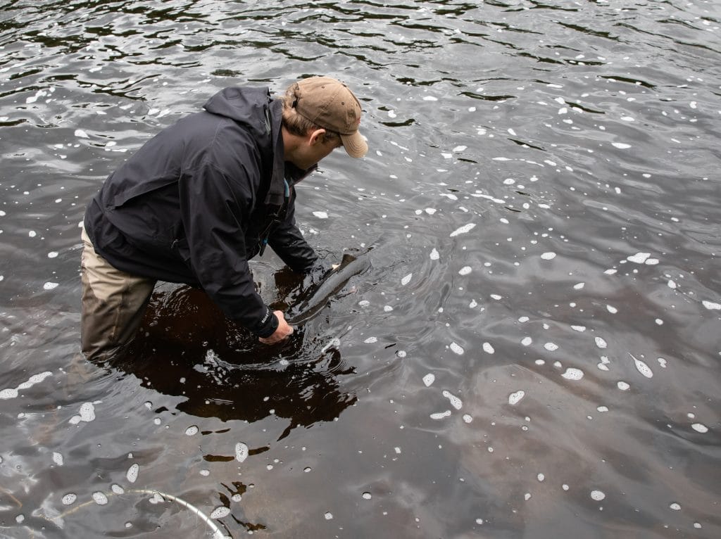 River Spey, Tulchan, Aardvark McLeod