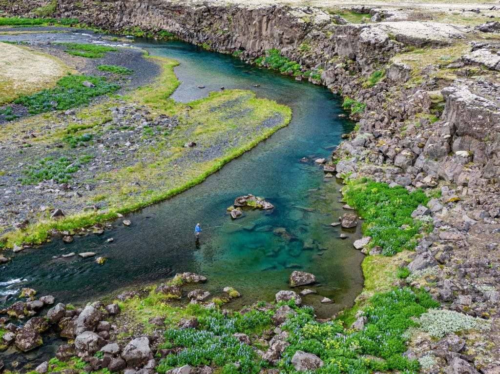 Tungnaa, Iceland, Aardvark McLeod