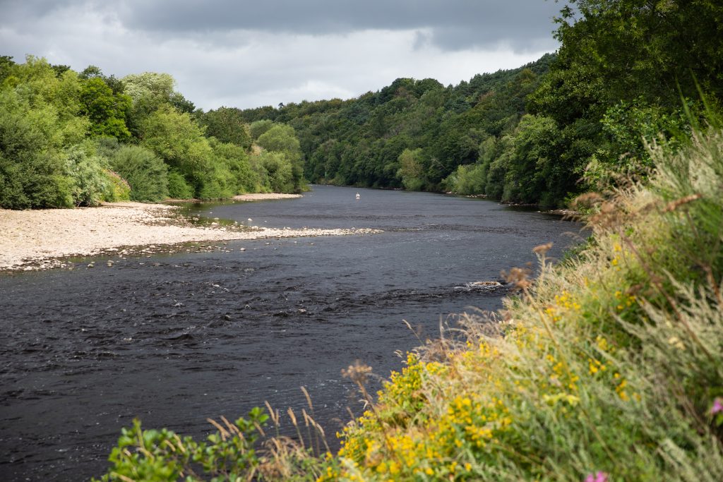 River Tyne, Aardvark McLeod, Olly Thompson