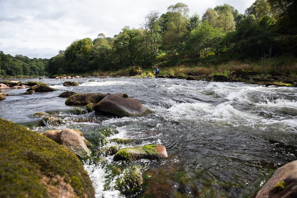 River Eden, Trout Fishing, Cumbria