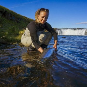 West Ranga, Iceland, Aardvark McLeod