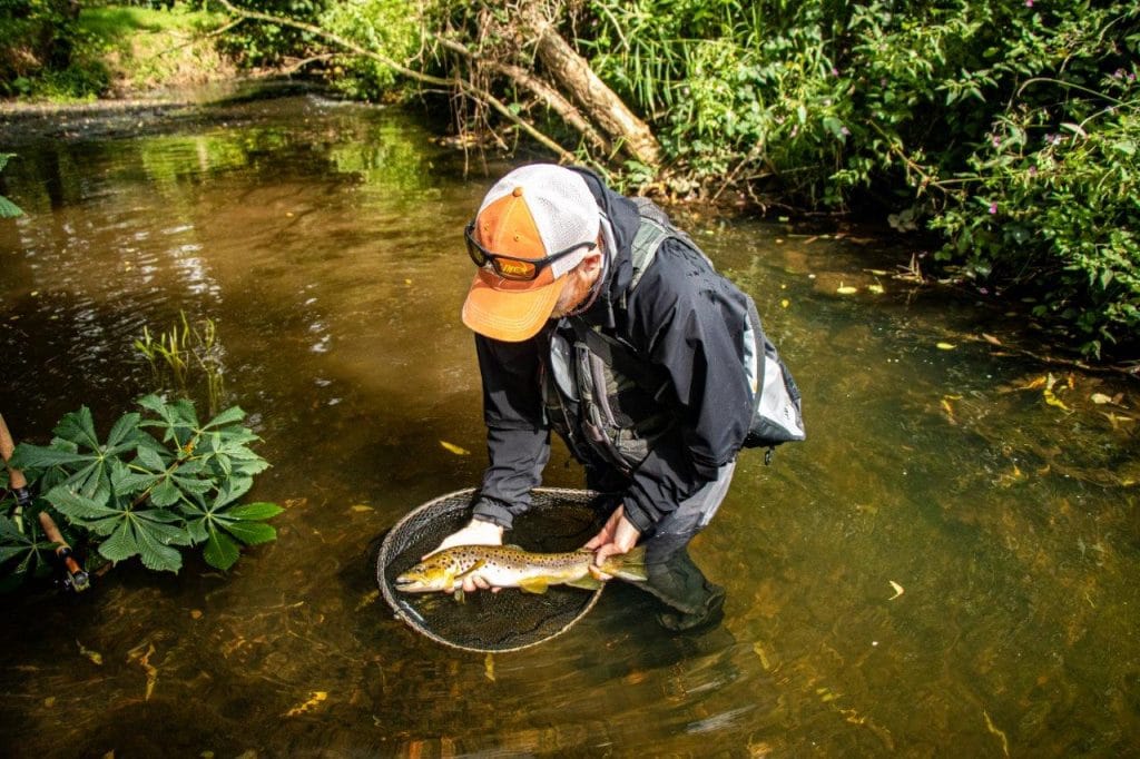 River Dee, Salmon Fly Fishing, Scotland, Little Blackhall and Inchmarlo, Aardvark McLeod