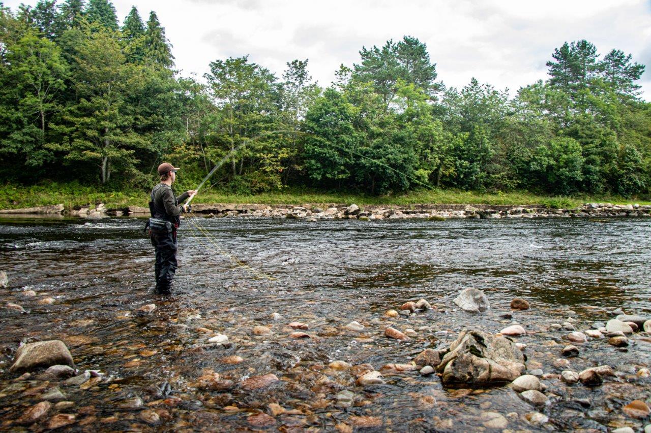 Scotland; River Dee Trip Report - September 2021 - Aardvark Mcleod