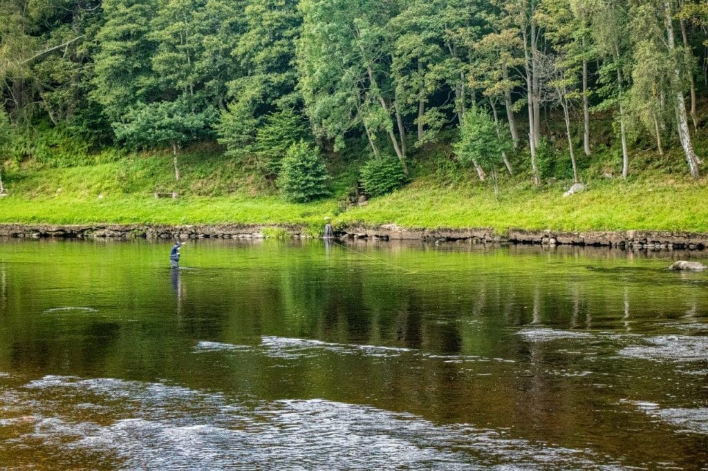 River Dee, Salmon Fly Fishing, Scotland, Little Blackhall and Inchmarlo, Aardvark McLeod