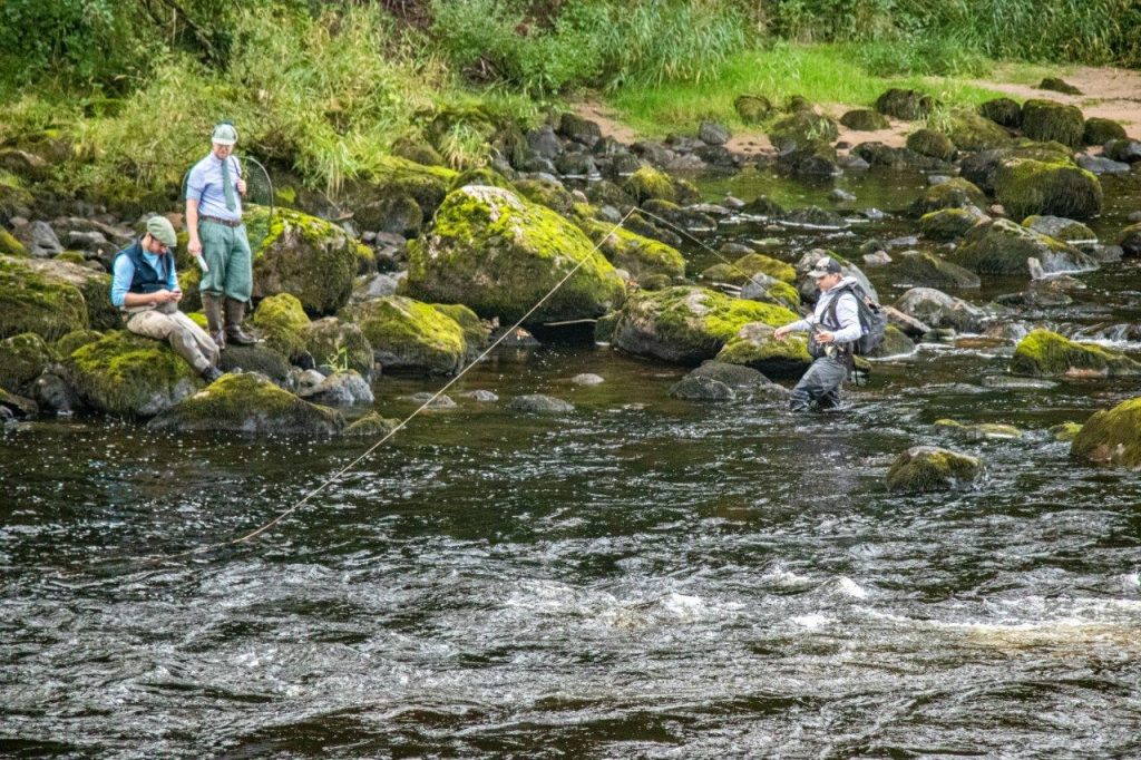River Dee, Salmon Fly Fishing, Scotland, Little Blackhall and Inchmarlo, Aardvark McLeod