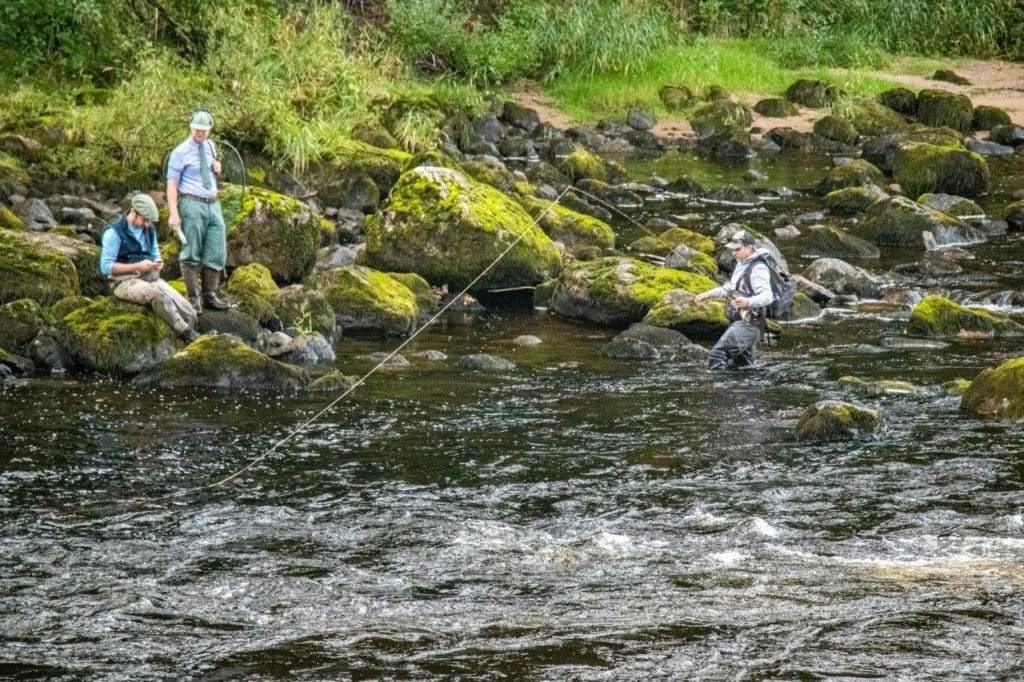 River Dee, Salmon Fly Fishing, Scotland, Little Blackhall and Inchmarlo, Aardvark McLeod