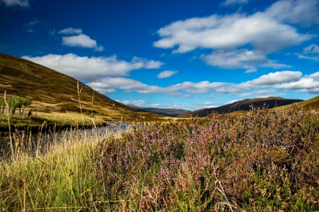 River Dee, Salmon Fly Fishing, Scotland, Little Blackhall and Inchmarlo, Aardvark McLeod