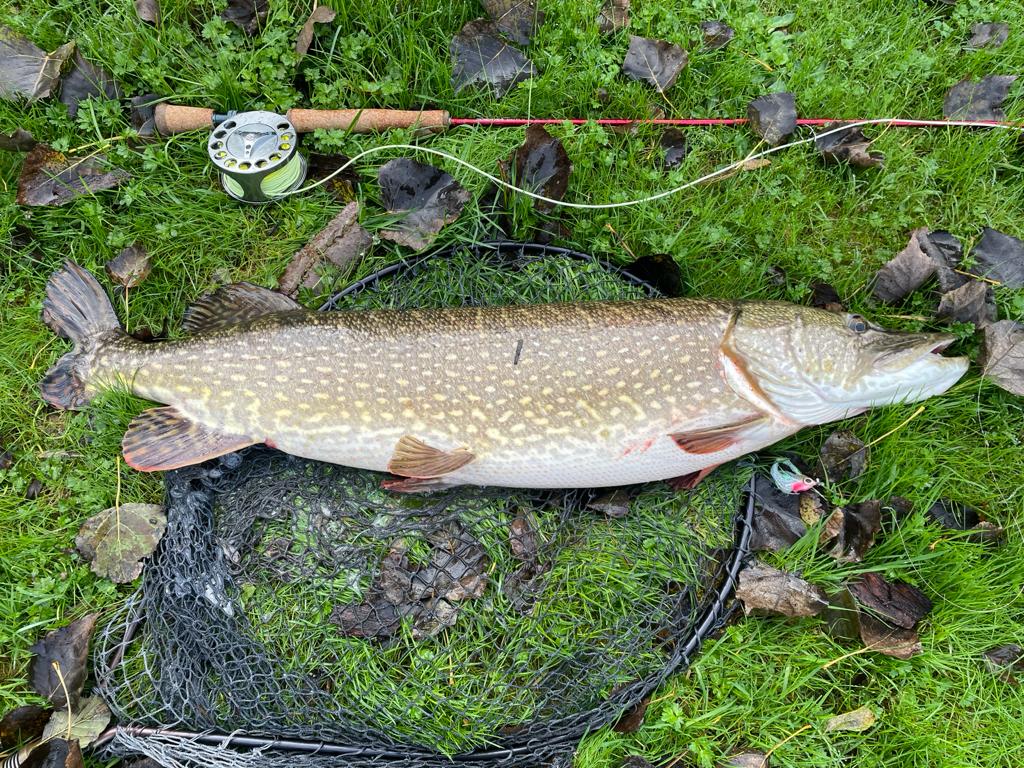 UK fishing, chalkstream, pike, pike fishing, UK fishing guides, River Test