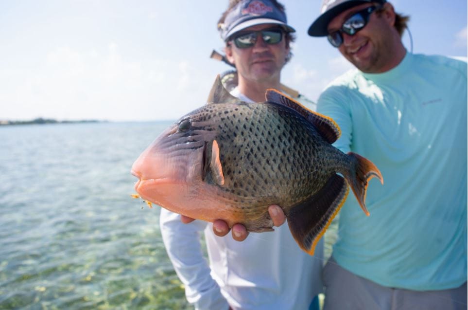 Fishing and luxury in the Maldives 