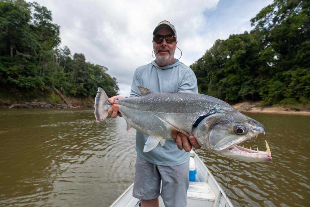 Rewa, Guyana, Arapaima, fishing, Aardvark McLeod