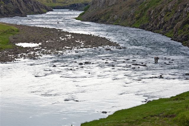 Nordura, Iceland, Aardvark McLeod