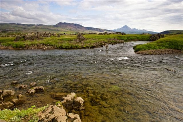 Nordura, Iceland, Aardvark McLeod