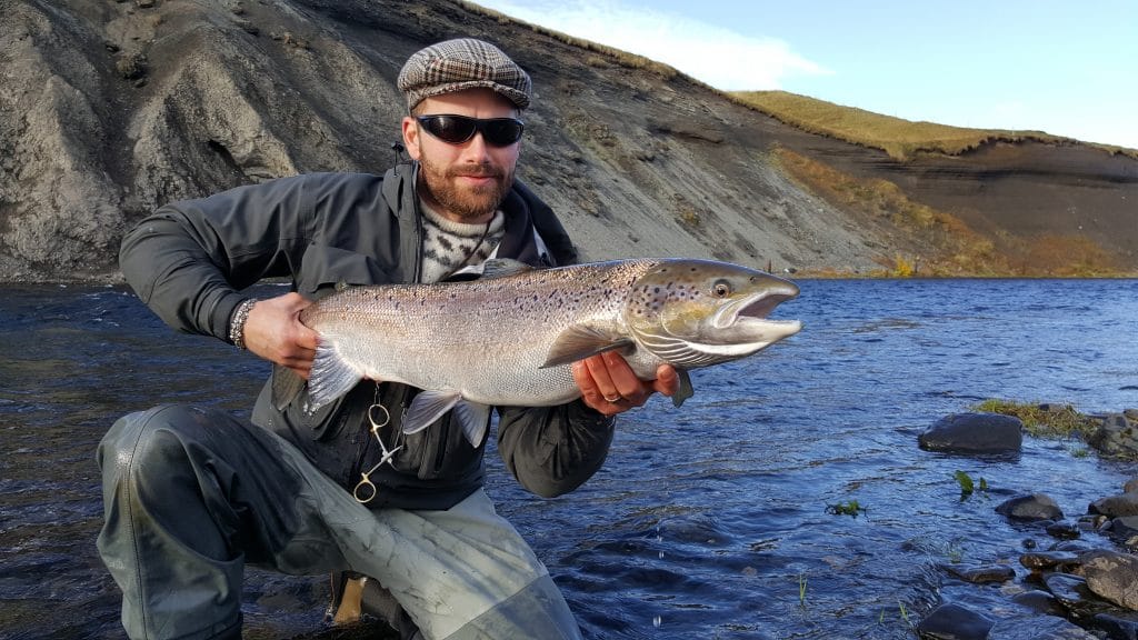 Stora Laxa, Iceland, Aardvark McLeod