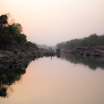 Cameroon, Nile Perch, Charlotte Chilcott, fishing in Cameroon, Aardvark McLeod