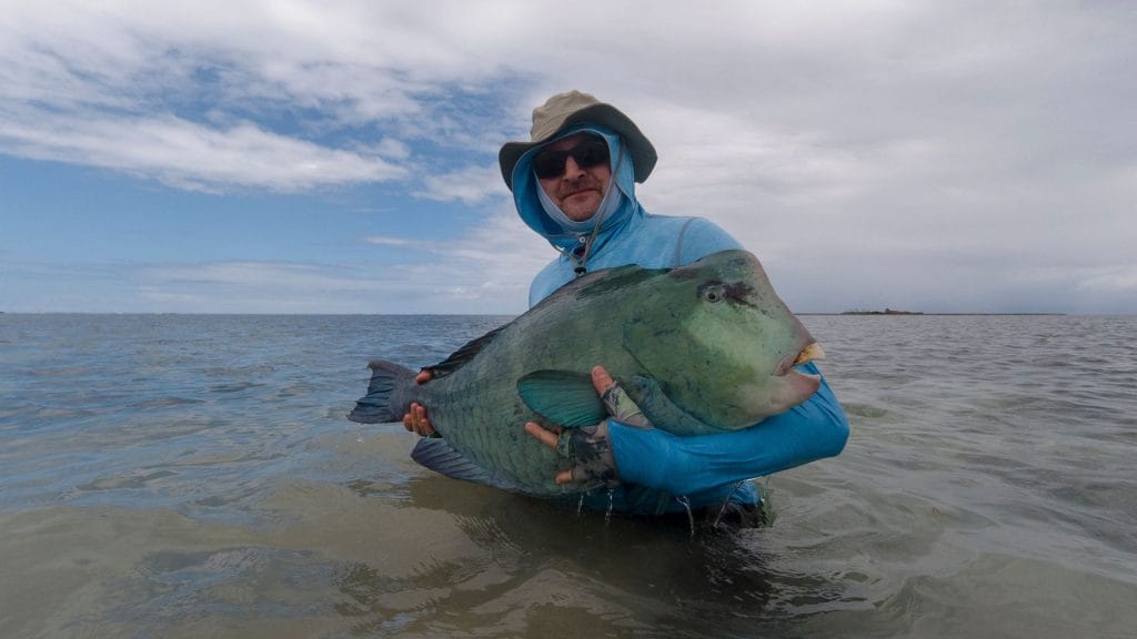 Farquhar, bumphead parrotfish, Seychelles, Aardvark McLeod