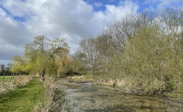 Polhampton, River Test, Chalkstream Fly fishing, Trout river Fishing, Aardvark McLeod