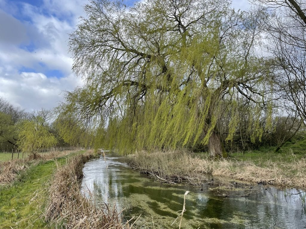 Polhampton, River Test, Chalkstream Fly fishing, Trout river Fishing, Aardvark McLeod