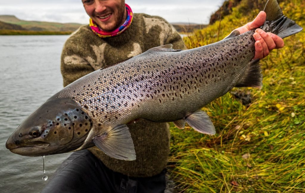 Iceland, Fossalar, Vatnamot, Aardvark McLeod