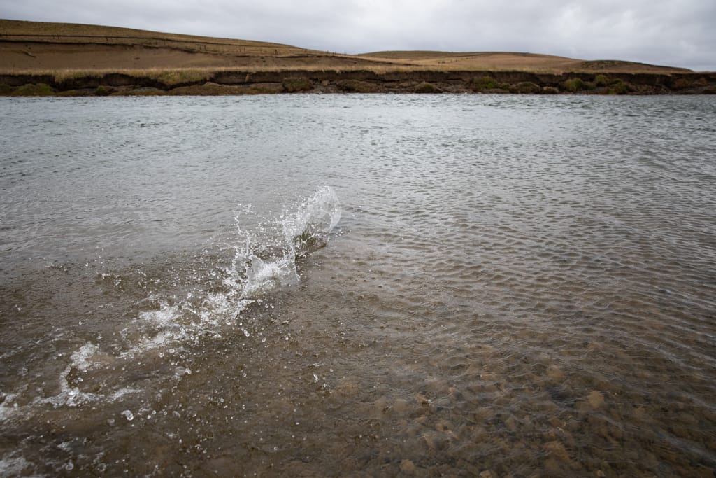 Estancia Maria Behety, Rio Grande, Sea trout, Aardvark McLeod