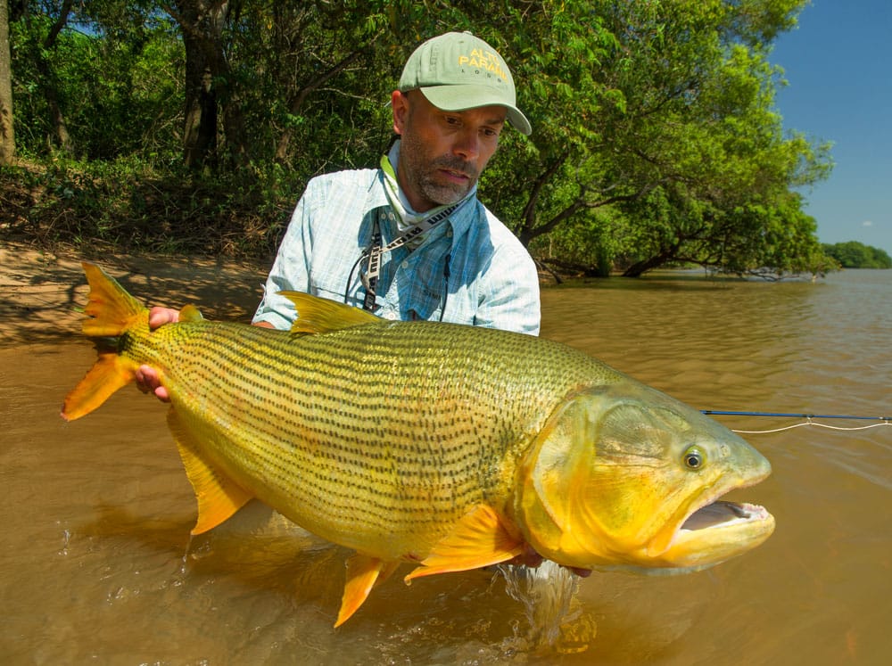 suinda lodge, dorado fishing, argentina, aardvark mcleod. Argentina fishing add ons